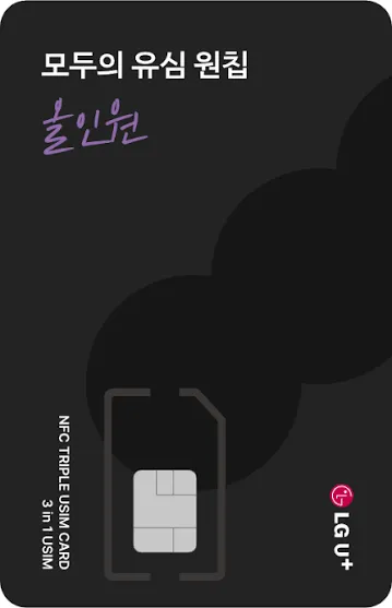 LG 원칩